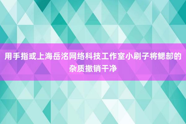 用手指或上海岳洺网络科技工作室小刷子将鳃部的杂质撤销干净